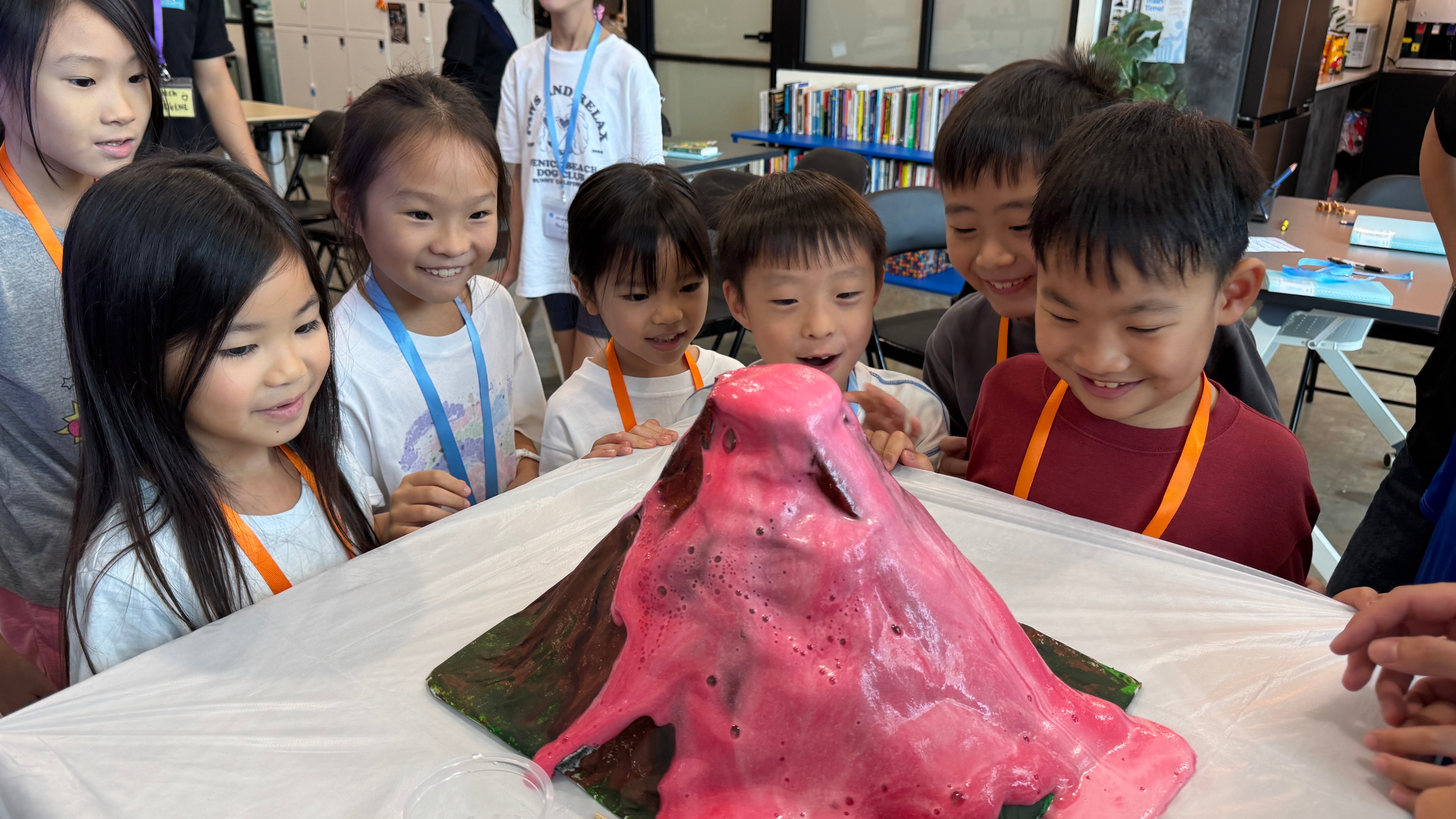 Executive Functioning Skills Lab